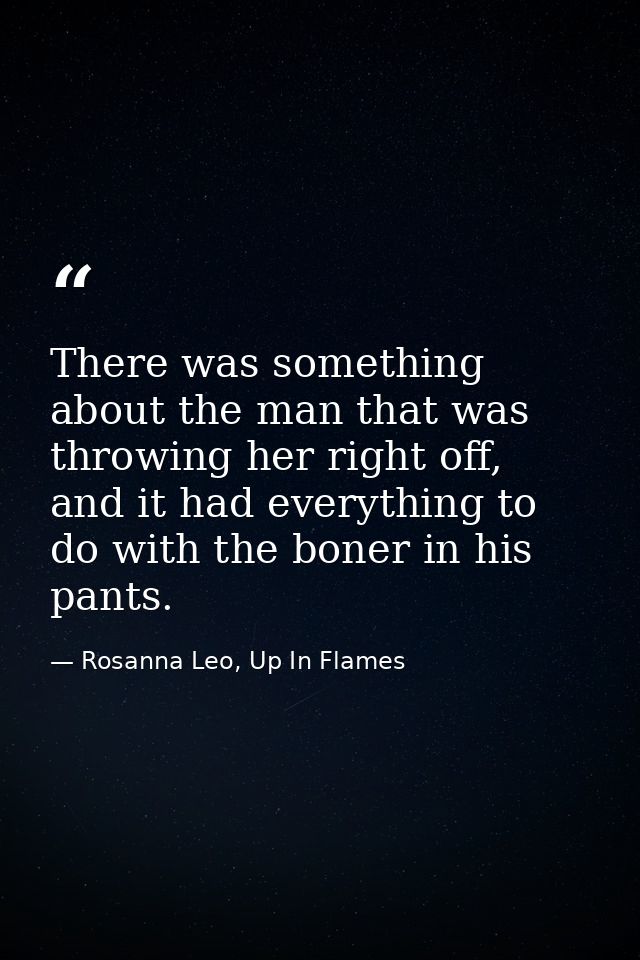 There was something about the man that was throwing her right off, and it had everything to do with the boner in his pan — Rosanna Leo, Up In Flames