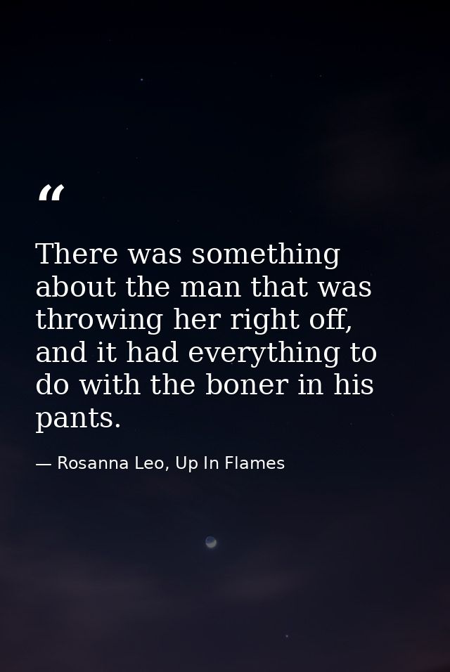 There was something about the man that was throwing her right off, and it had everything to do with the boner in his pan — Rosanna Leo, Up In Flames