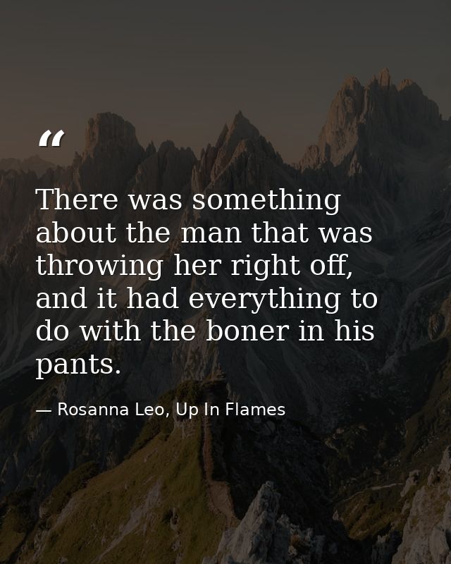 There was something about the man that was throwing her right off, and it had everything to do with the boner in his pan — Rosanna Leo, Up In Flames