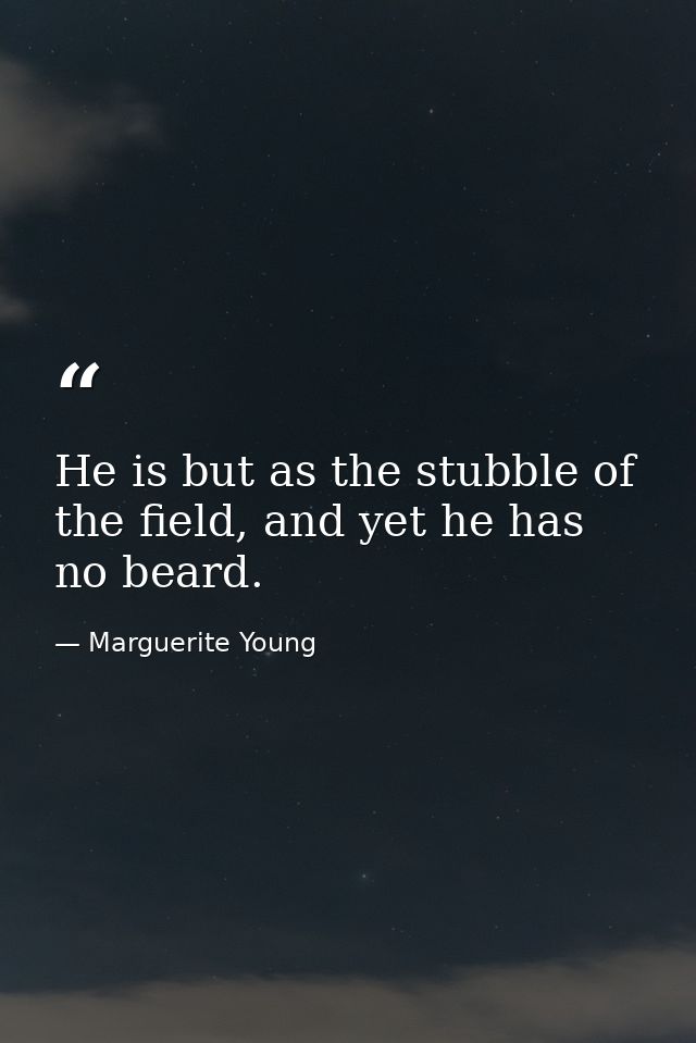 He is but as the stubble of the field, and yet he has no beard. — Marguerite Young