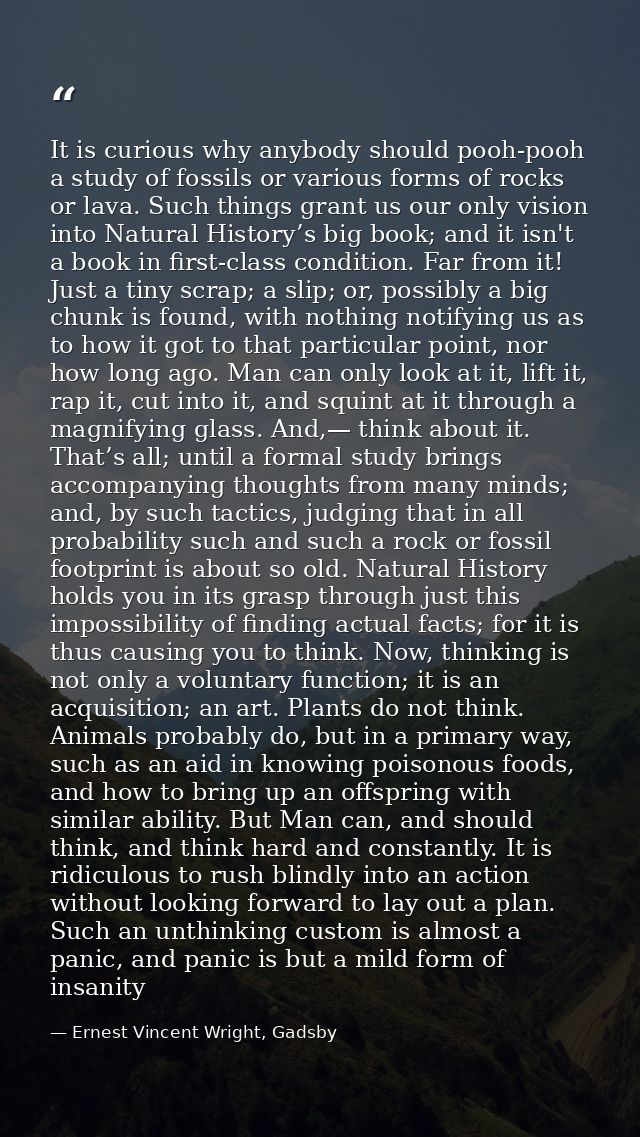 It is curious why anybody should pooh-pooh a study of fossils or various forms of rocks or lava. Such things grant us ou — Ernest Vincent Wright, Gadsby