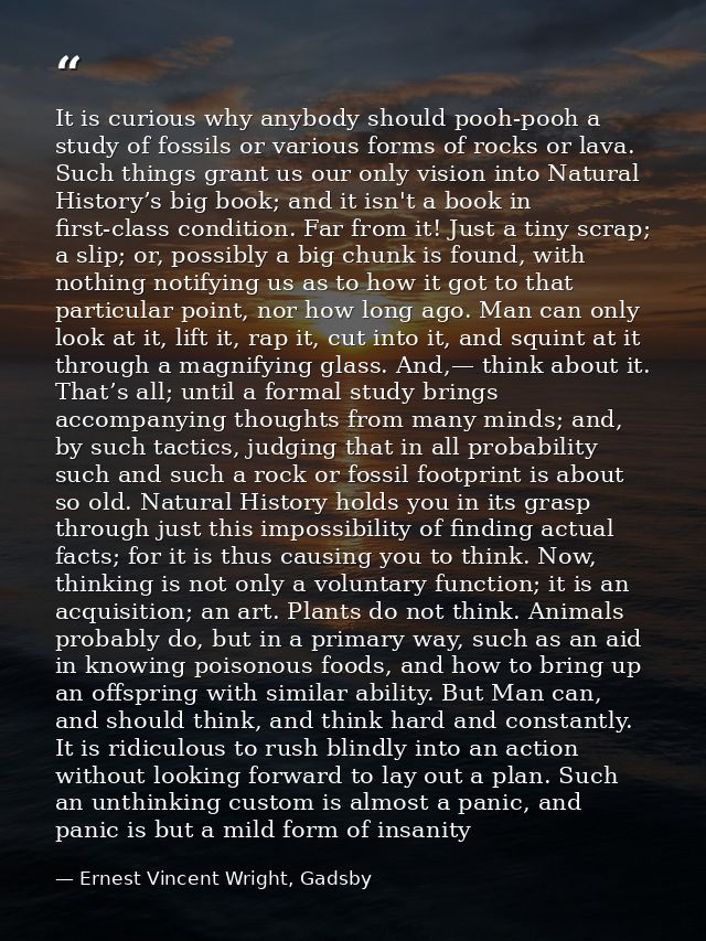 It is curious why anybody should pooh-pooh a study of fossils or various forms of rocks or lava. Such things grant us ou — Ernest Vincent Wright, Gadsby