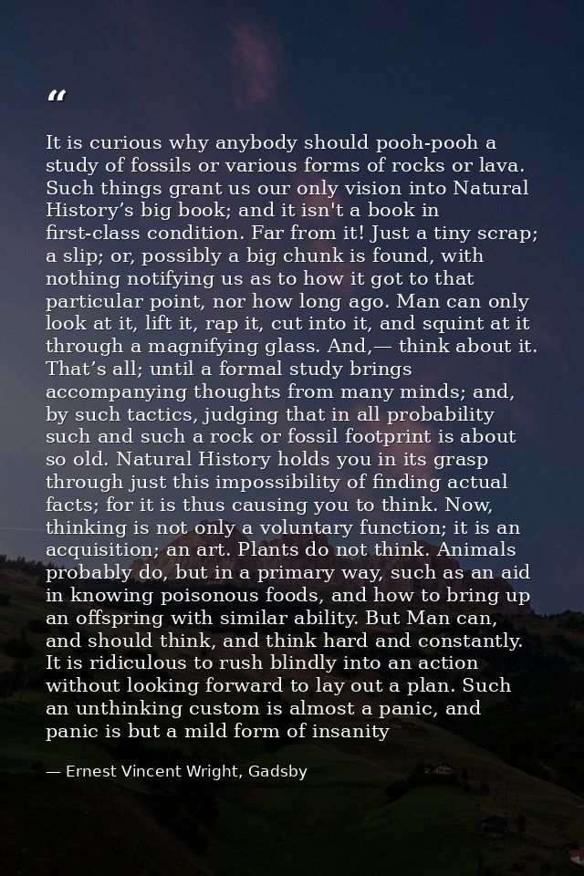 It is curious why anybody should pooh-pooh a study of fossils or various forms of rocks or lava. Such things grant us ou — Ernest Vincent Wright, Gadsby