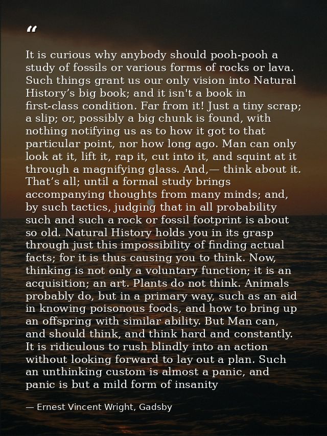 It is curious why anybody should pooh-pooh a study of fossils or various forms of rocks or lava. Such things grant us ou — Ernest Vincent Wright, Gadsby