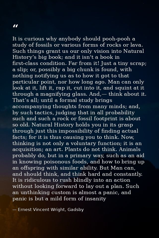 It is curious why anybody should pooh-pooh a study of fossils or various forms of rocks or lava. Such things grant us ou — Ernest Vincent Wright, Gadsby