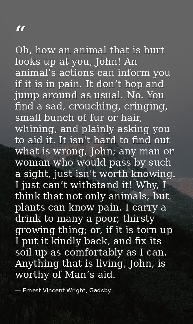 Oh, how an animal that is hurt looks up at you, John! An animal’s actions can inform you if it is in pain. It don’t hop  — Ernest Vincent Wright, Gadsby