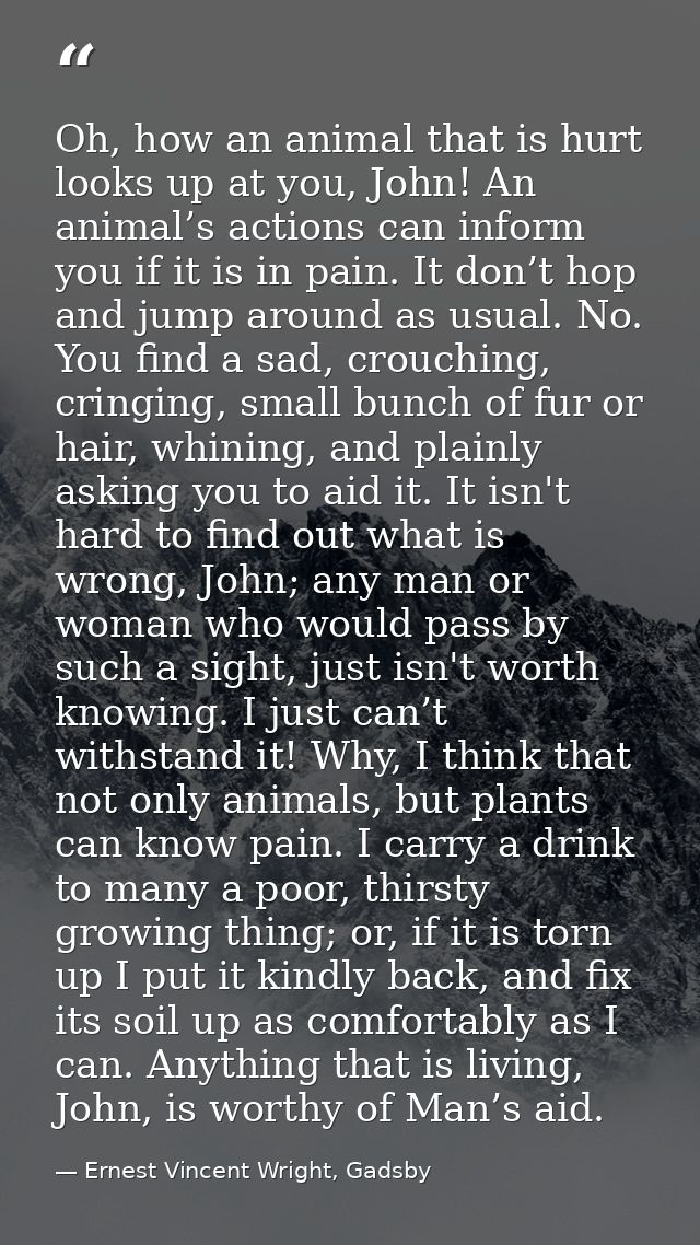 Oh, how an animal that is hurt looks up at you, John! An animal’s actions can inform you if it is in pain. It don’t hop  — Ernest Vincent Wright, Gadsby
