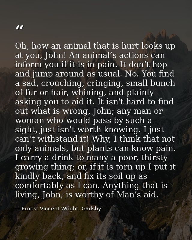 Oh, how an animal that is hurt looks up at you, John! An animal’s actions can inform you if it is in pain. It don’t hop  — Ernest Vincent Wright, Gadsby