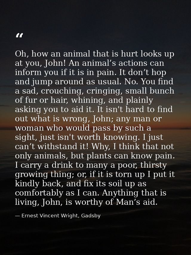 Oh, how an animal that is hurt looks up at you, John! An animal’s actions can inform you if it is in pain. It don’t hop  — Ernest Vincent Wright, Gadsby