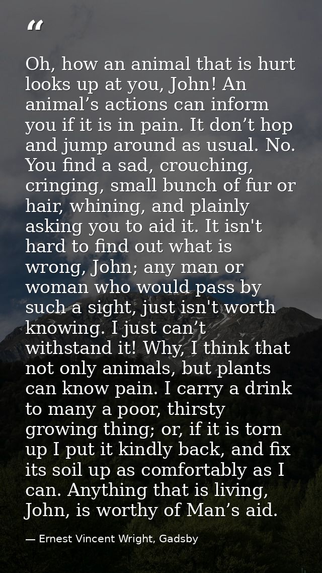 Oh, how an animal that is hurt looks up at you, John! An animal’s actions can inform you if it is in pain. It don’t hop  — Ernest Vincent Wright, Gadsby