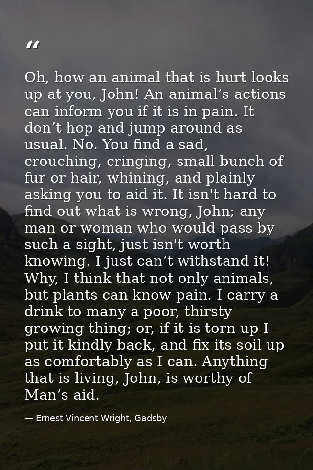 Oh, how an animal that is hurt looks up at you, John! An animal’s actions can inform you if it is in pain. It don’t hop  — Ernest Vincent Wright, Gadsby