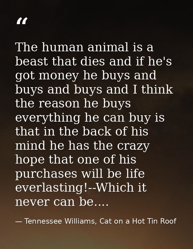 The human animal is a beast that dies and if he's got money he buys and buys and buys and I think the reason he buys eve — Tennessee Williams, Cat on a Hot Tin Roof