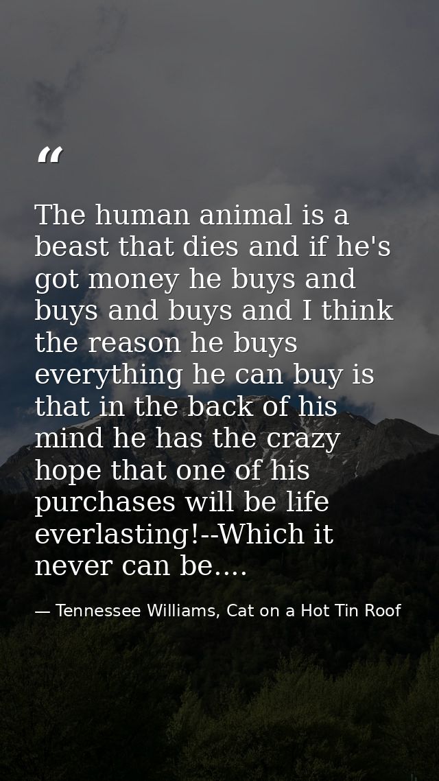 The human animal is a beast that dies and if he's got money he buys and buys and buys and I think the reason he buys eve — Tennessee Williams, Cat on a Hot Tin Roof