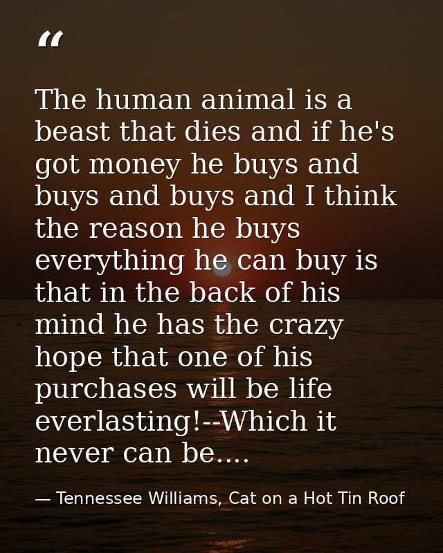 The human animal is a beast that dies and if he's got money he buys and buys and buys and I think the reason he buys eve — Tennessee Williams, Cat on a Hot Tin Roof