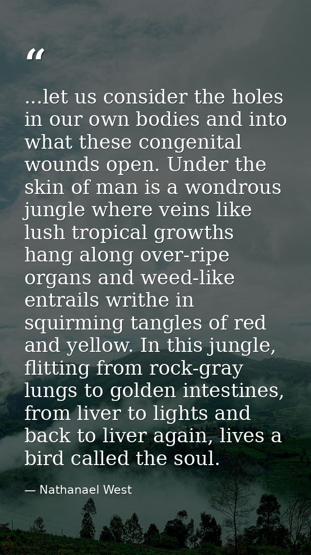 ...let us consider the holes in our own bodies and into what these congenital wounds open. Under the skin of man is a wo — Nathanael West