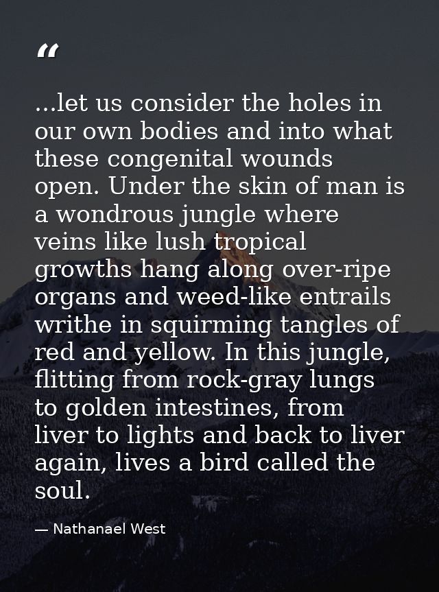 ...let us consider the holes in our own bodies and into what these congenital wounds open. Under the skin of man is a wo — Nathanael West
