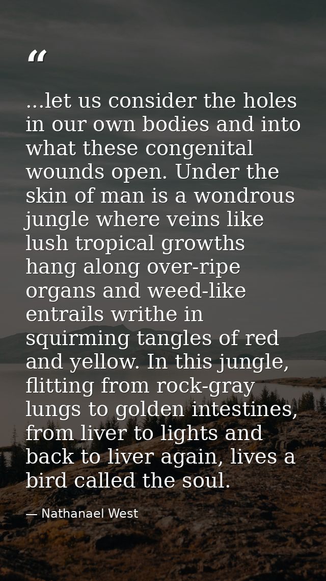 ...let us consider the holes in our own bodies and into what these congenital wounds open. Under the skin of man is a wo — Nathanael West