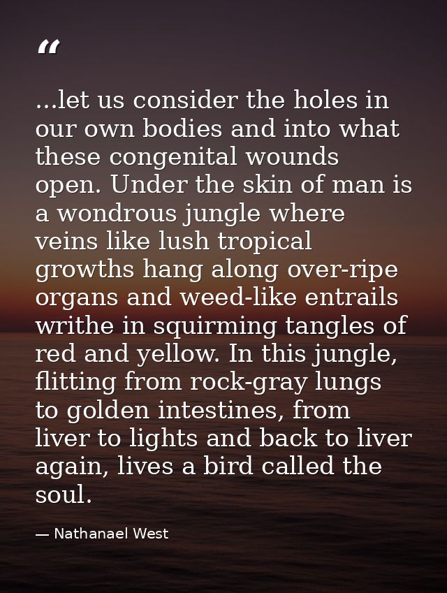 ...let us consider the holes in our own bodies and into what these congenital wounds open. Under the skin of man is a wo — Nathanael West