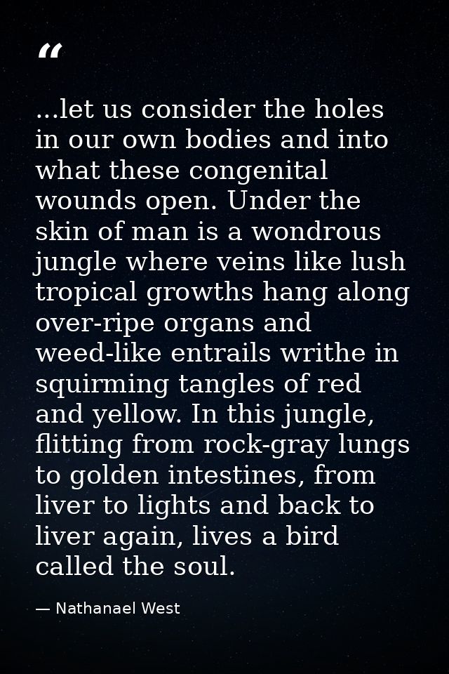 ...let us consider the holes in our own bodies and into what these congenital wounds open. Under the skin of man is a wo — Nathanael West