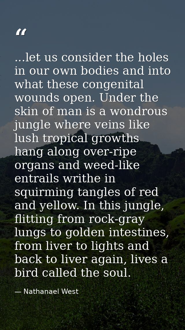 ...let us consider the holes in our own bodies and into what these congenital wounds open. Under the skin of man is a wo — Nathanael West