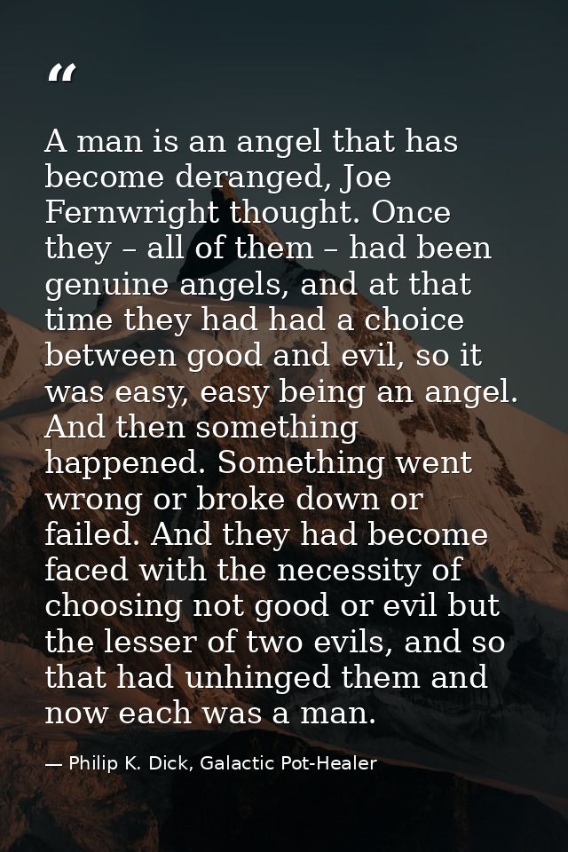A man is an angel that has become deranged, Joe Fernwright thought. Once they – all of them – had been genuine angels, a — Philip K. Dick, Galactic Pot-Healer