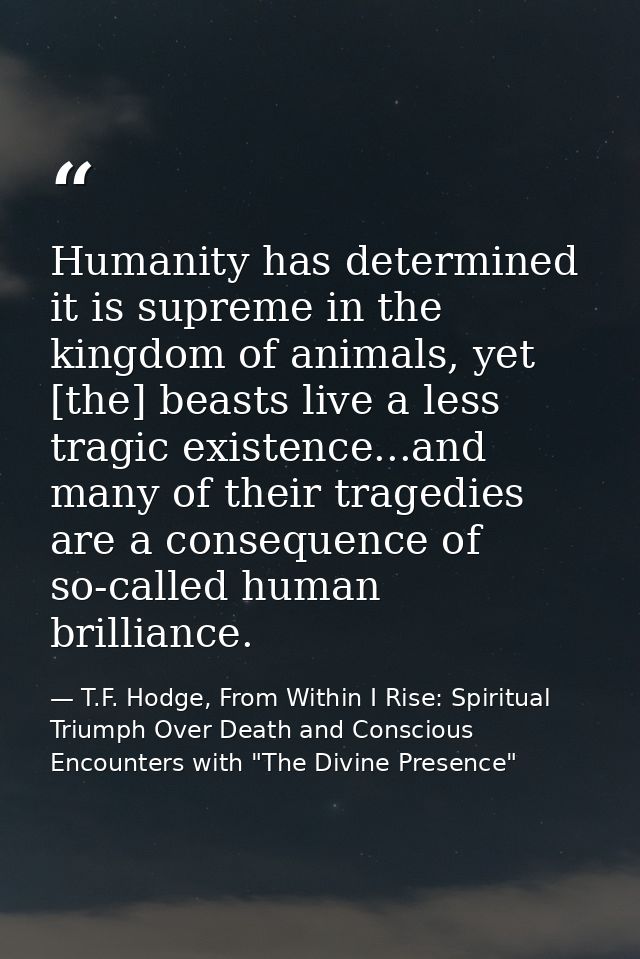 Humanity has determined it is supreme in the kingdom of animals, yet [the] beasts live a less tragic existence...and man — T.F. Hodge, From Within I Rise: Spiritual Triumph Over Death and Conscious Encounters with "The Divine Presence"