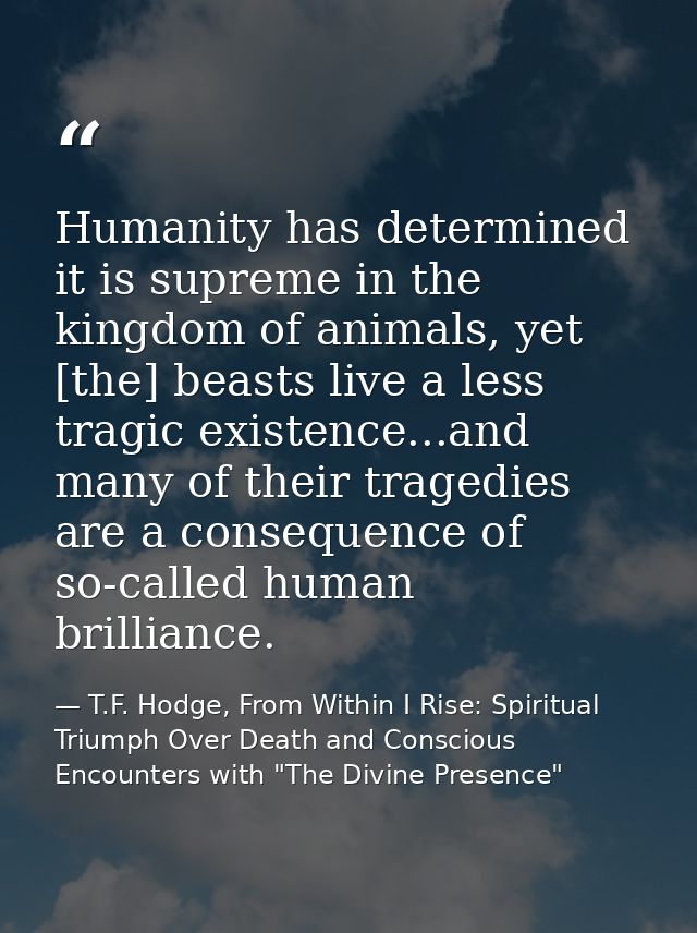 Humanity has determined it is supreme in the kingdom of animals, yet [the] beasts live a less tragic existence...and man — T.F. Hodge, From Within I Rise: Spiritual Triumph Over Death and Conscious Encounters with "The Divine Presence"