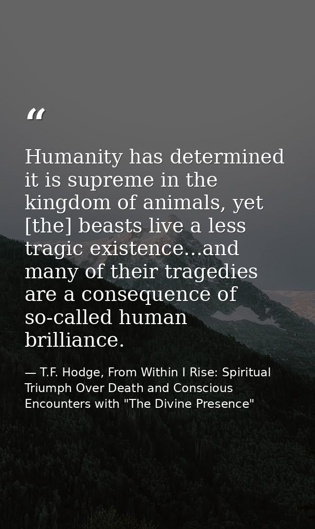 Humanity has determined it is supreme in the kingdom of animals, yet [the] beasts live a less tragic existence...and man — T.F. Hodge, From Within I Rise: Spiritual Triumph Over Death and Conscious Encounters with "The Divine Presence"