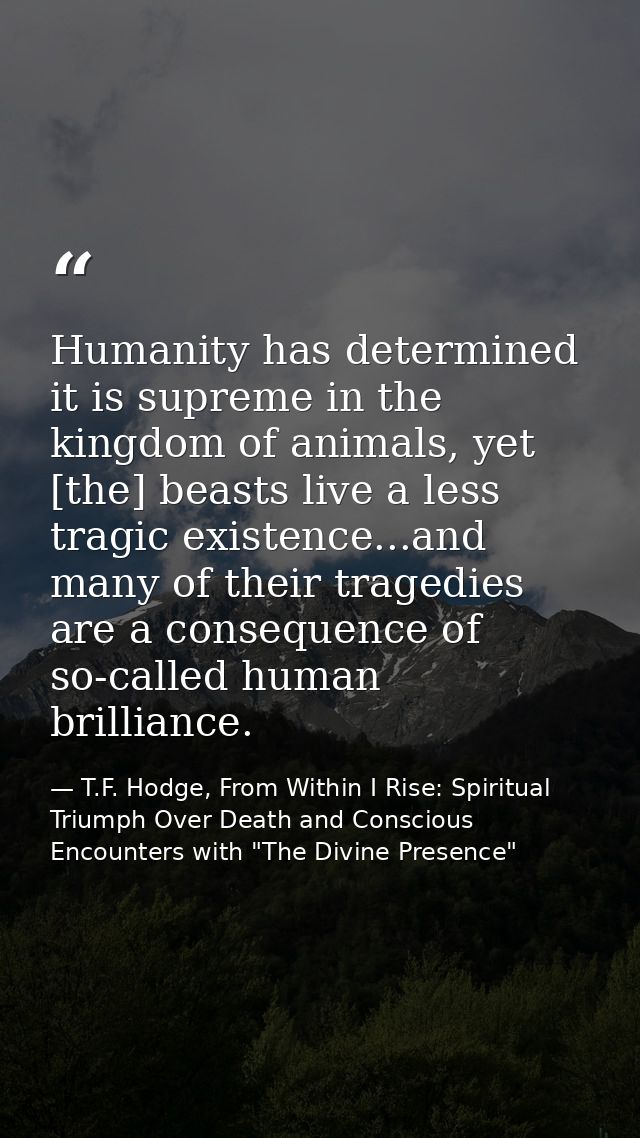 Humanity has determined it is supreme in the kingdom of animals, yet [the] beasts live a less tragic existence...and man — T.F. Hodge, From Within I Rise: Spiritual Triumph Over Death and Conscious Encounters with "The Divine Presence"