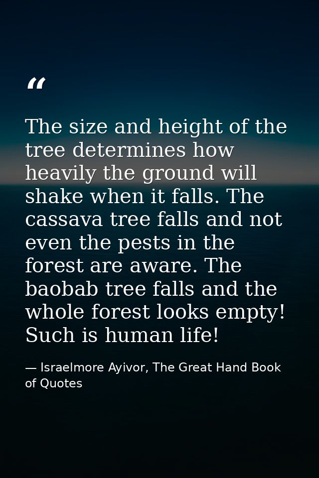 The size and height of the tree determines how heavily the ground will shake when it falls. The cassava tree falls and n — Israelmore Ayivor, The Great Hand Book of Quotes