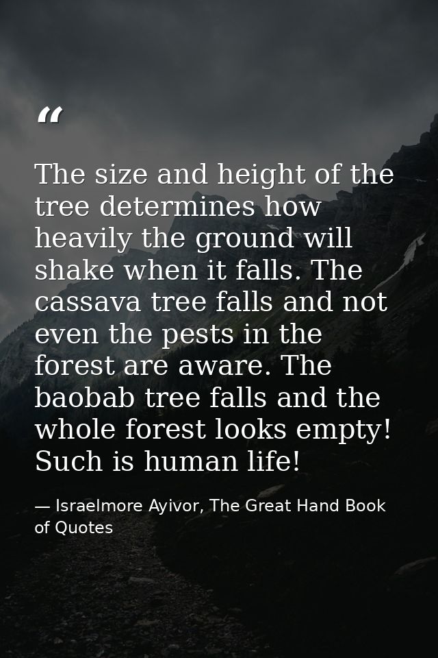 The size and height of the tree determines how heavily the ground will shake when it falls. The cassava tree falls and n — Israelmore Ayivor, The Great Hand Book of Quotes