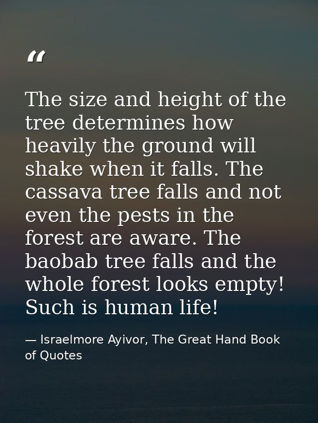 The size and height of the tree determines how heavily the ground will shake when it falls. The cassava tree falls and n — Israelmore Ayivor, The Great Hand Book of Quotes