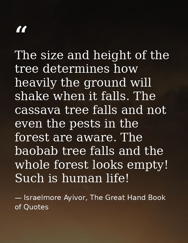 The size and height of the tree determines how heavily the ground will shake when it falls. The cassava tree falls and n — Israelmore Ayivor, The Great Hand Book of Quotes
