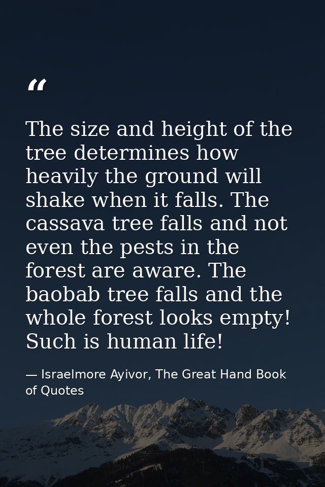 The size and height of the tree determines how heavily the ground will shake when it falls. The cassava tree falls and n — Israelmore Ayivor, The Great Hand Book of Quotes