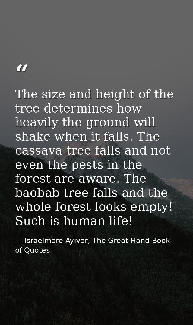 The size and height of the tree determines how heavily the ground will shake when it falls. The cassava tree falls and n — Israelmore Ayivor, The Great Hand Book of Quotes