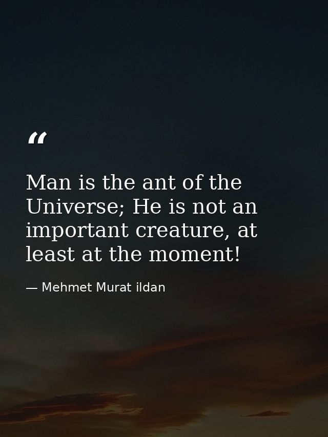 Man is the ant of the Universe; He is not an important creature, at least at the moment! — Mehmet Murat ildan