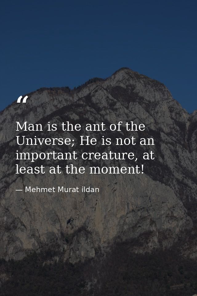 Man is the ant of the Universe; He is not an important creature, at least at the moment! — Mehmet Murat ildan
