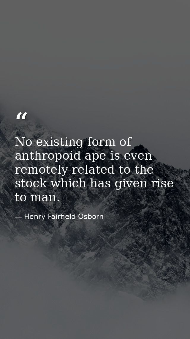 No existing form of anthropoid ape is even remotely related to the stock which has given rise to man. — Henry Fairfield Osborn