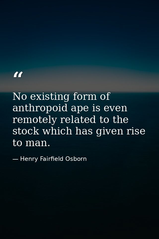 No existing form of anthropoid ape is even remotely related to the stock which has given rise to man. — Henry Fairfield Osborn