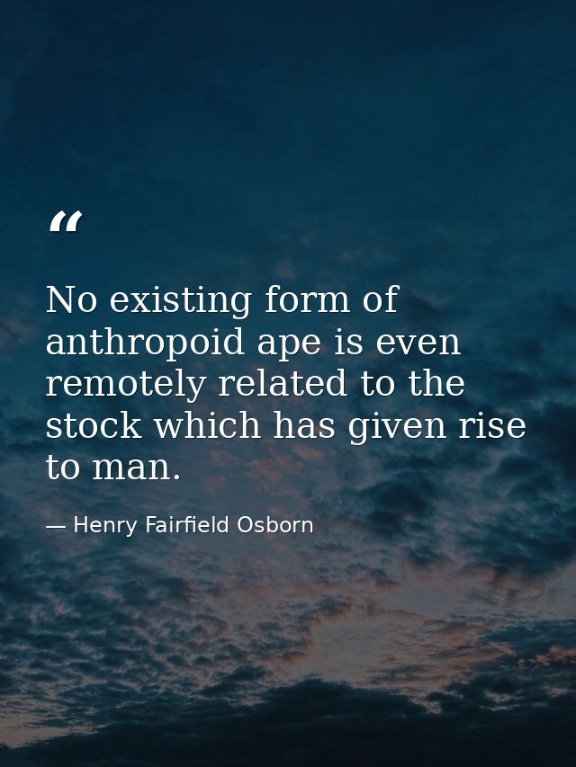 No existing form of anthropoid ape is even remotely related to the stock which has given rise to man. — Henry Fairfield Osborn