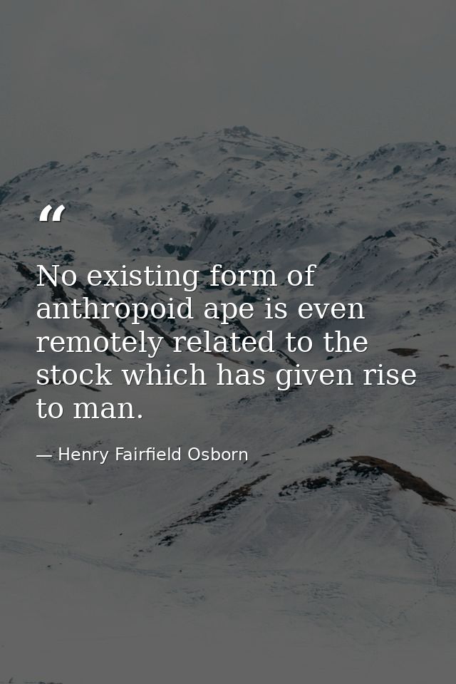 No existing form of anthropoid ape is even remotely related to the stock which has given rise to man. — Henry Fairfield Osborn