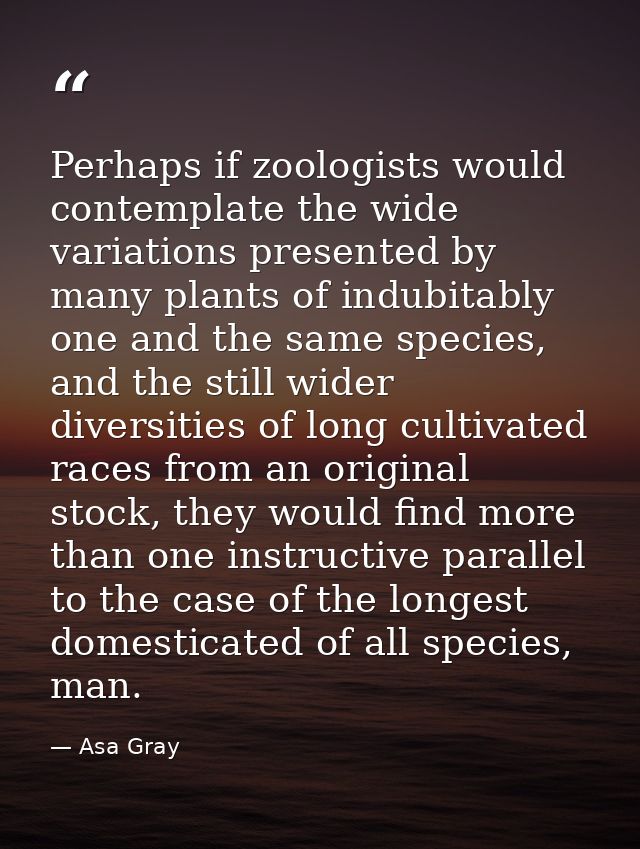 Perhaps if zoologists would contemplate the wide variations presented by many plants of indubitably one and the same spe — Asa Gray