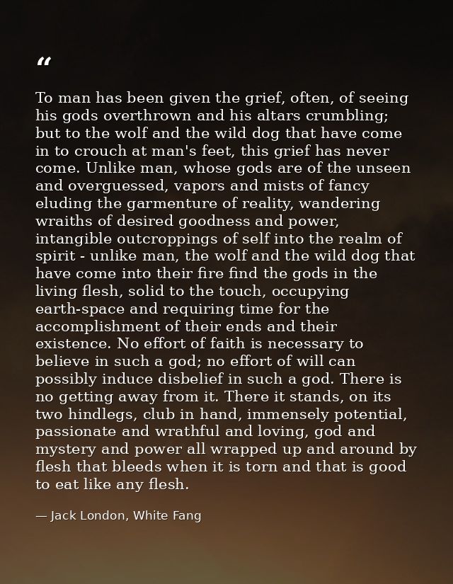 To man has been given the grief, often, of seeing his gods overthrown and his altars crumbling; but to the wolf and the  — Jack London, White Fang