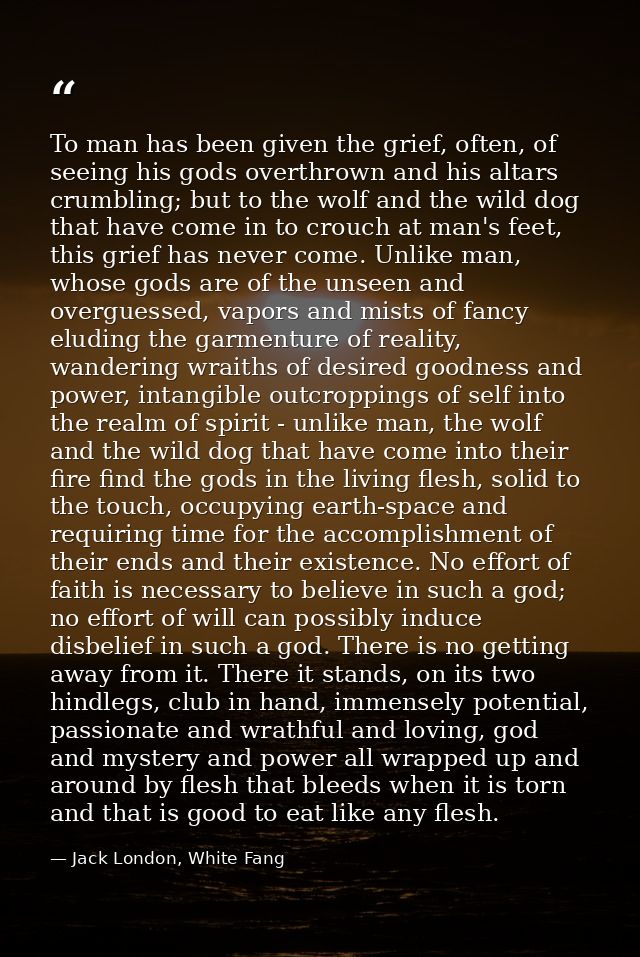 To man has been given the grief, often, of seeing his gods overthrown and his altars crumbling; but to the wolf and the  — Jack London, White Fang