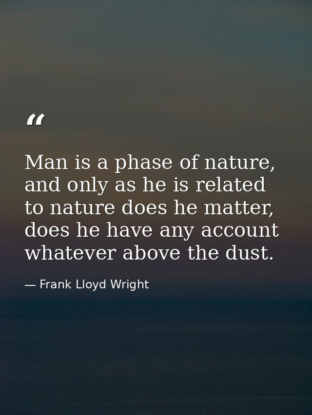 Man is a phase of nature, and only as he is related to nature does he matter, does he have any account whatever above th — Frank Lloyd Wright