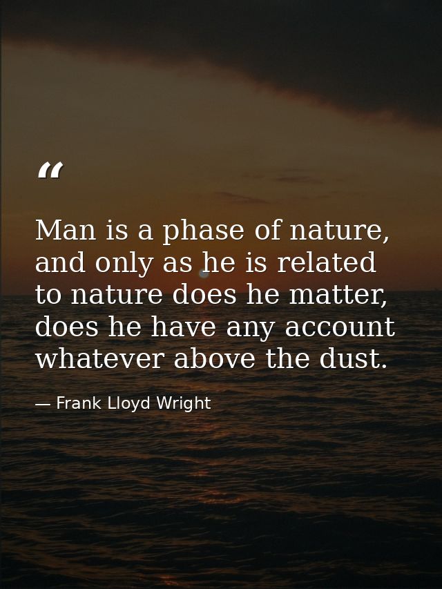 Man is a phase of nature, and only as he is related to nature does he matter, does he have any account whatever above th — Frank Lloyd Wright