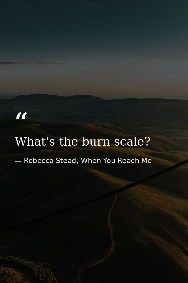 What's the burn scale? — Rebecca Stead, When You Reach Me