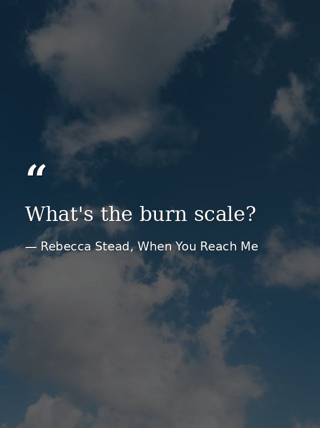 What's the burn scale? — Rebecca Stead, When You Reach Me
