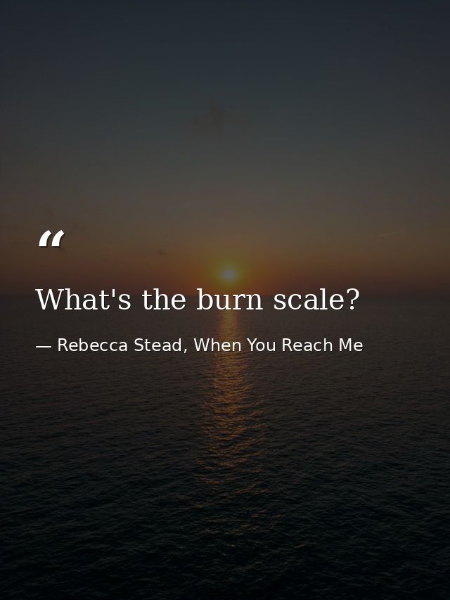 What's the burn scale? — Rebecca Stead, When You Reach Me
