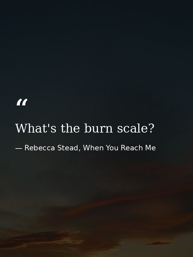 What's the burn scale? — Rebecca Stead, When You Reach Me